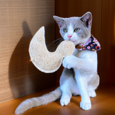 Loofah Duck Pet Toy